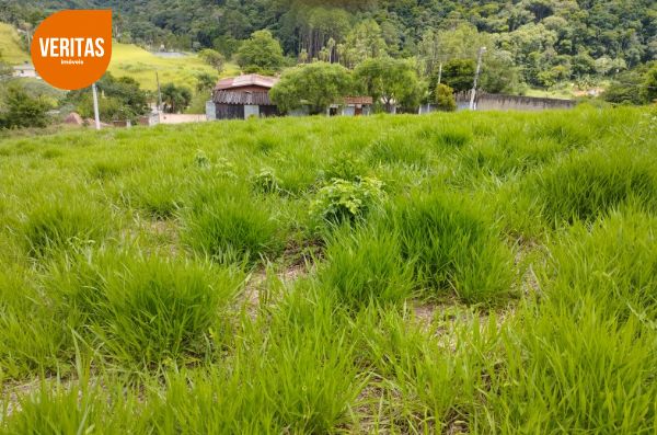 Belo terreno para sua chcara